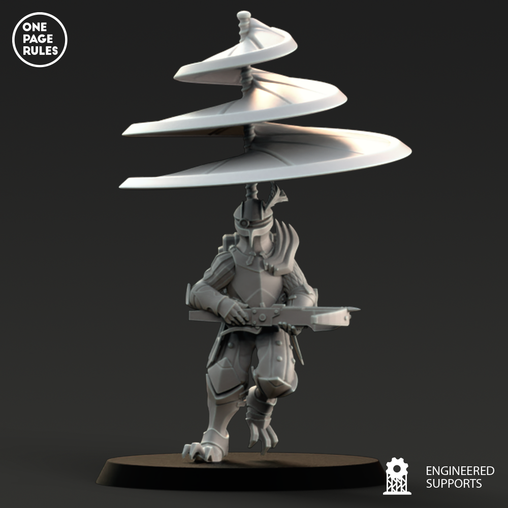 duchies of vinci – Aerea Guard - Image 3