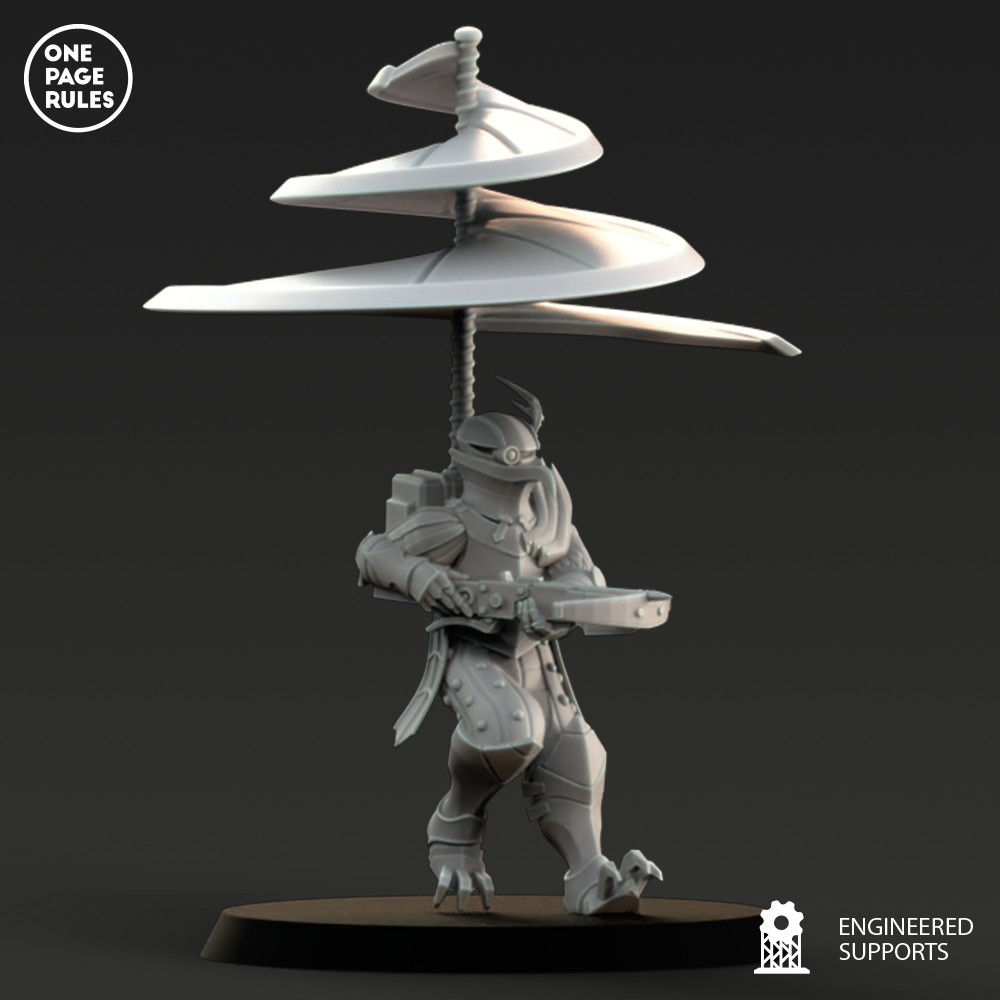 duchies of vinci – Aerea Guard - Image 4