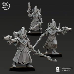 high elf fleets – Acolytes