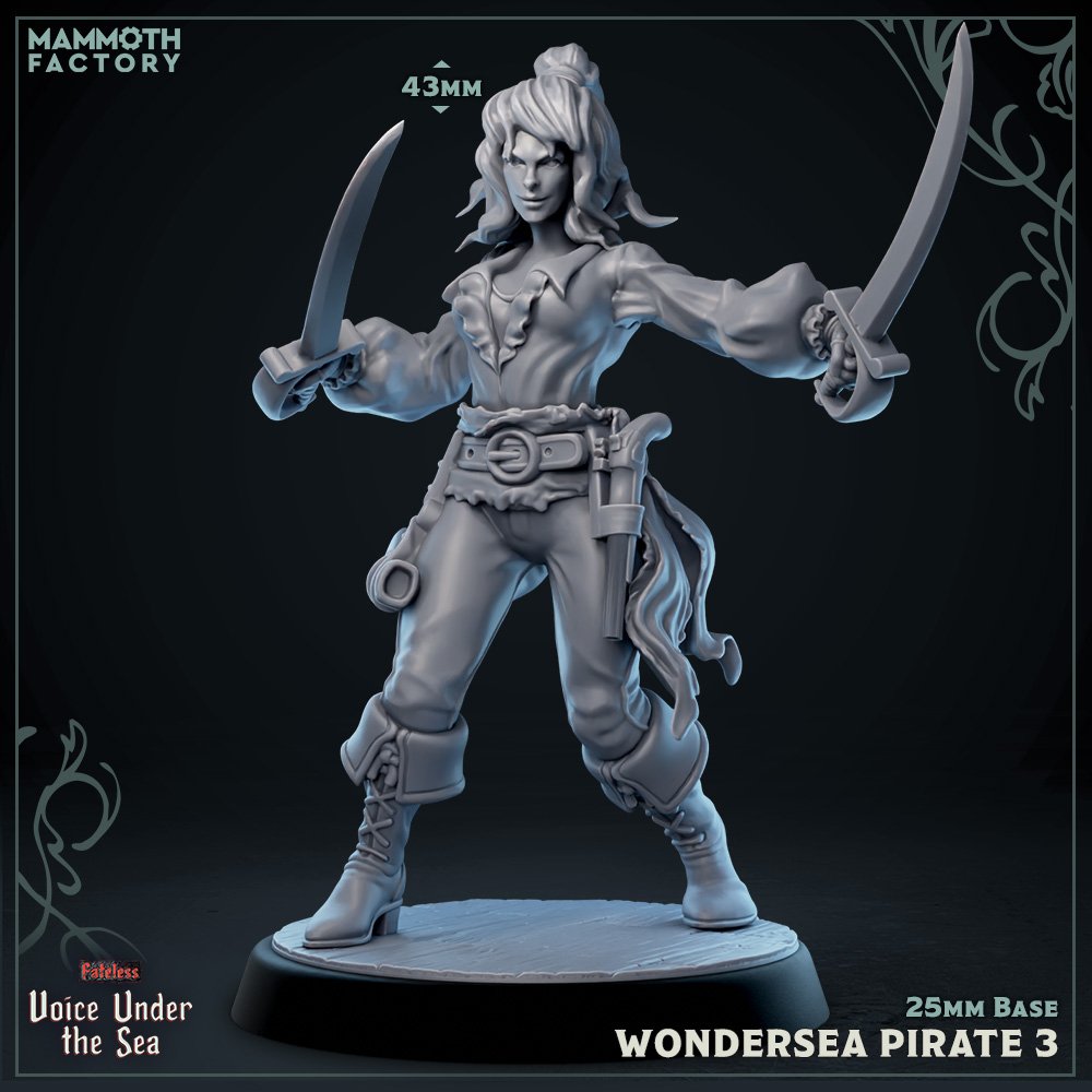 Wondersea Pirate - Image 2