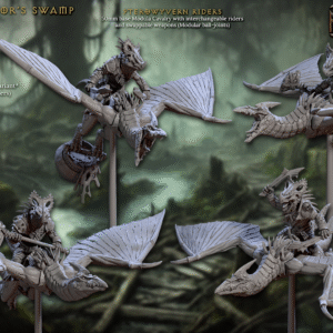 Pterowyvern Riders armure