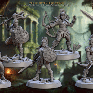 Veiled Sisterhood Rogues tir