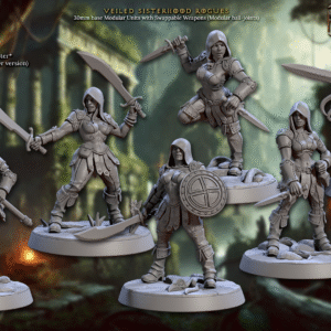 Veiled Sisterhood Rogues corp a corp