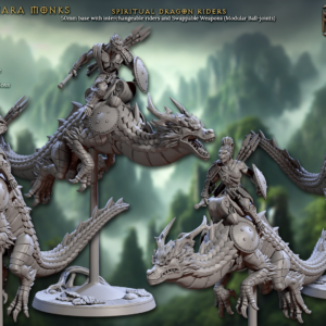 Spiritual Dragon Riders